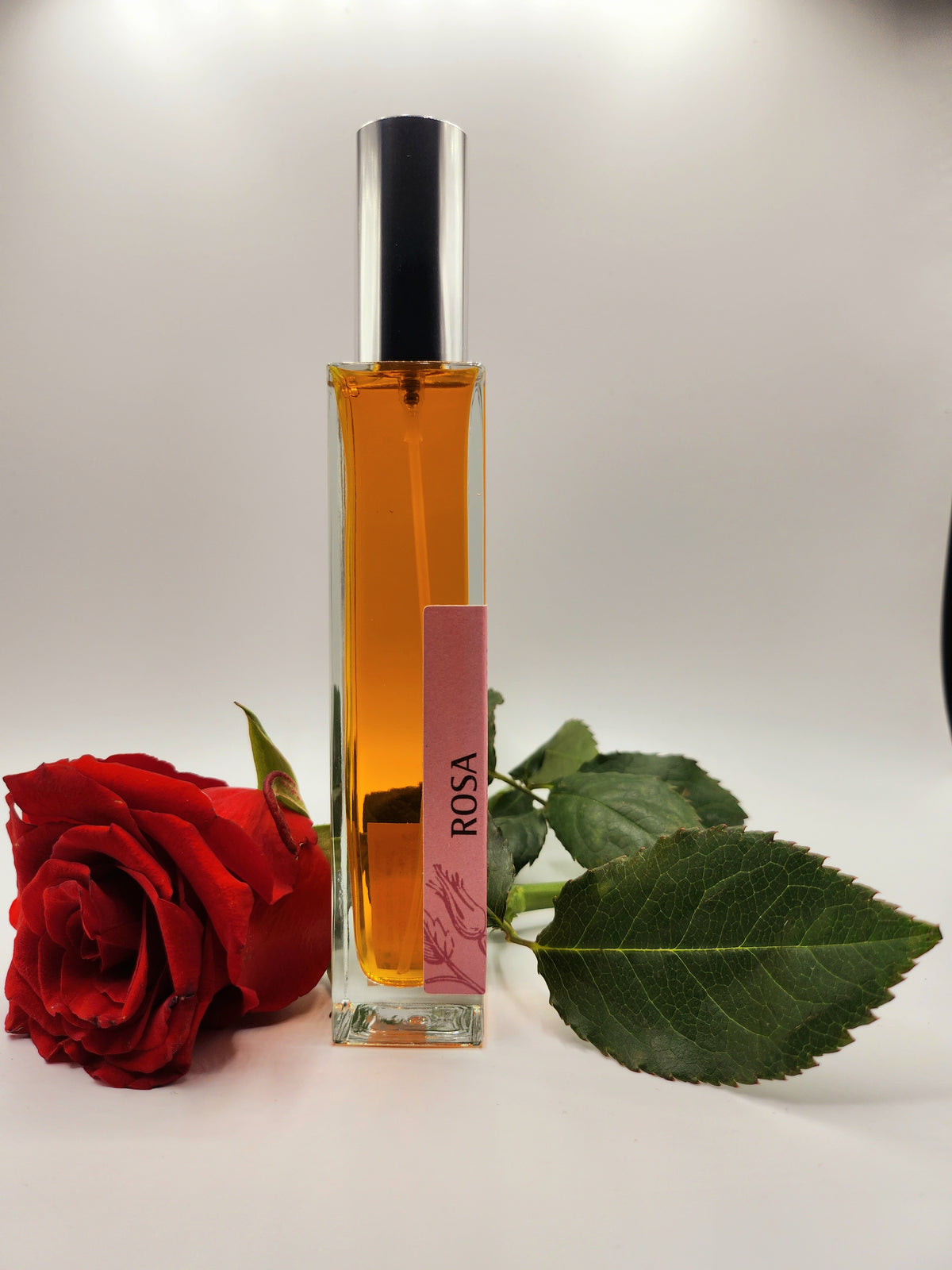 Rosa