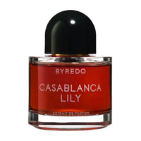 Casablanca Lily