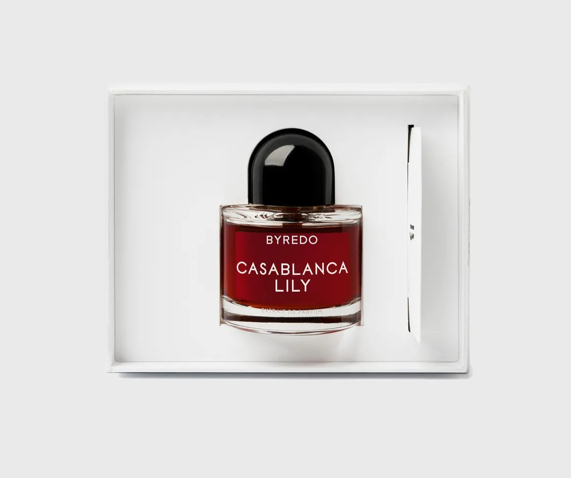 Casablanca Lily